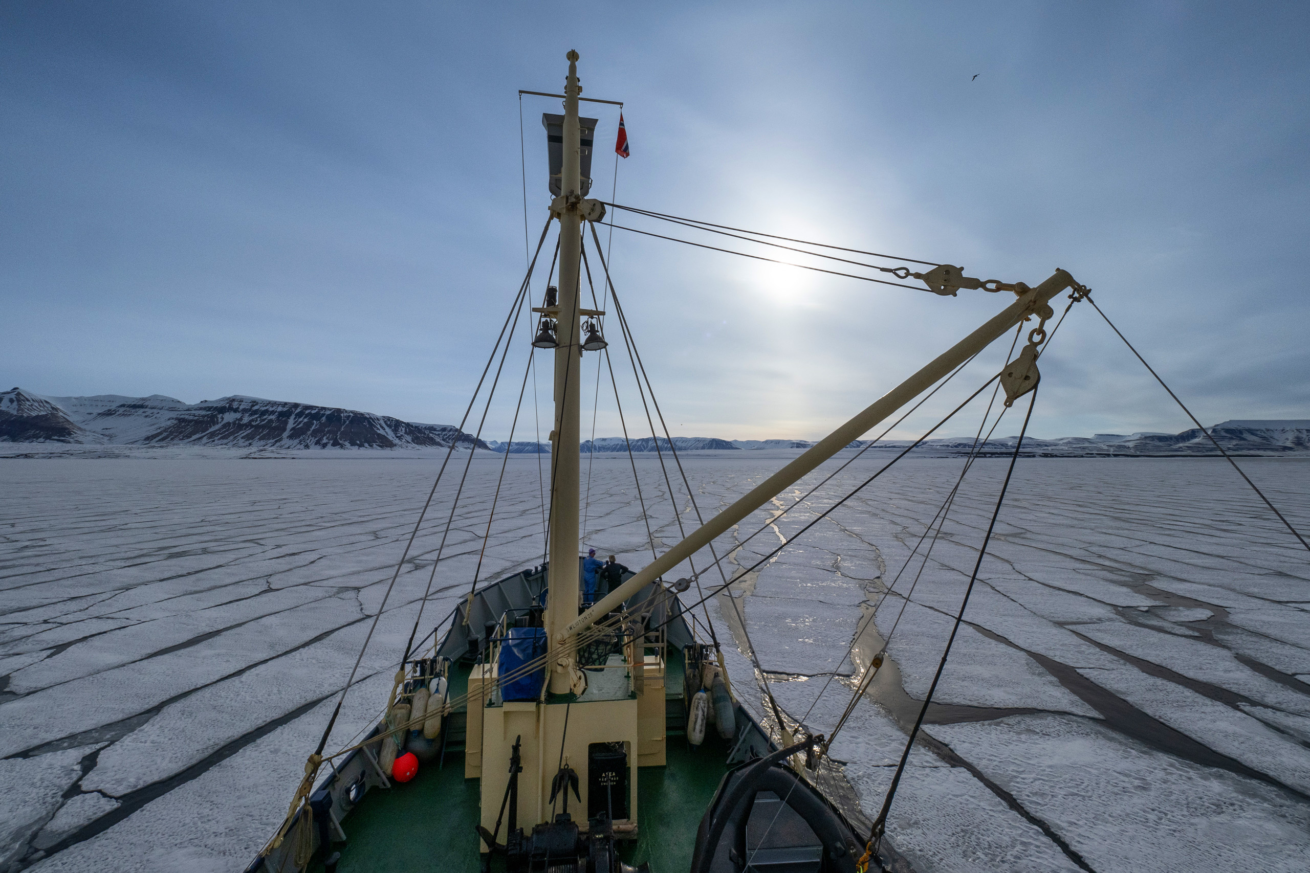 Gerry van der Walt - Wild Eye - Svalbard