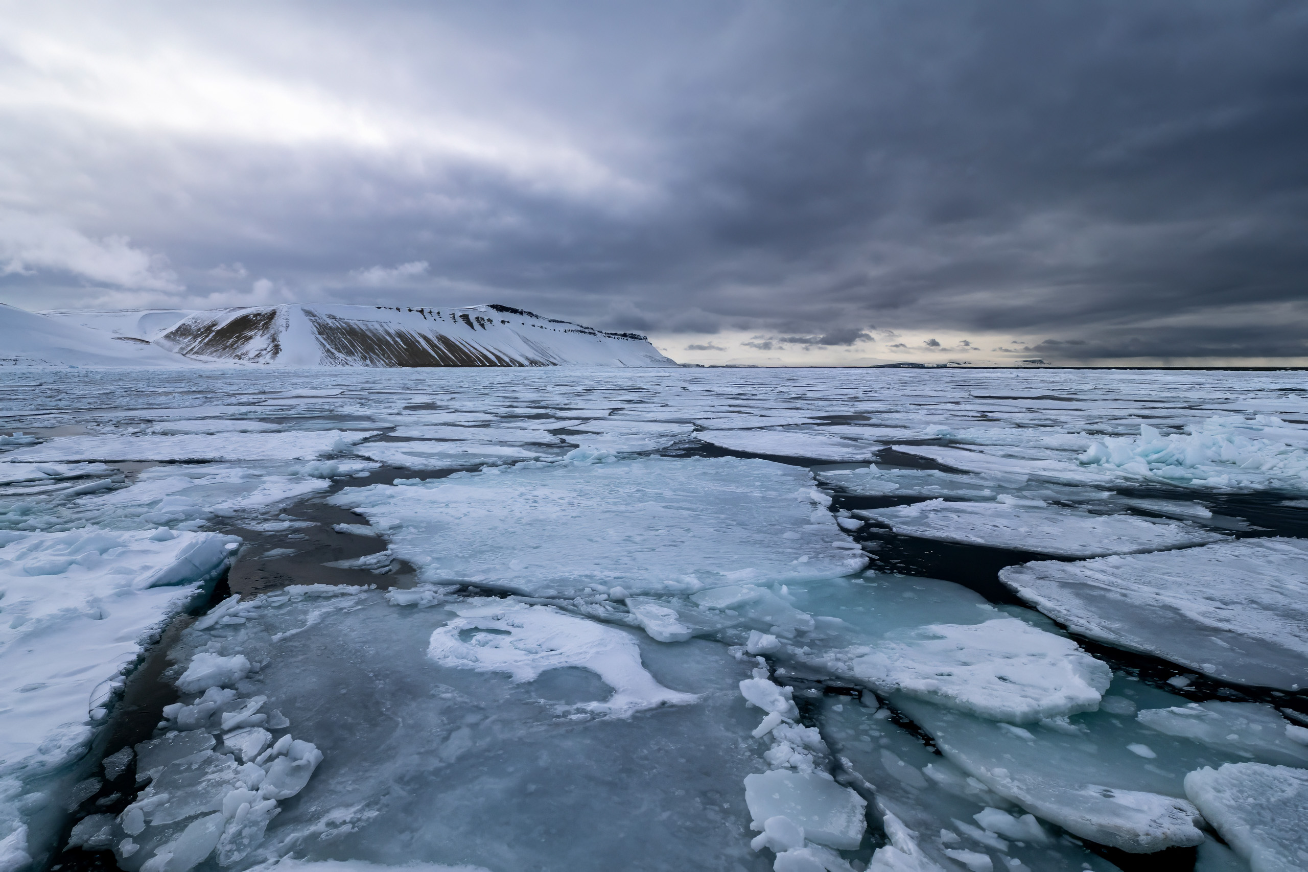 Gerry van der Walt - Wild Eye - Svalbard