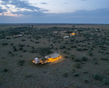 https://wild-eye.com/wp-content/uploads/2020/11/Best-Of-Serengeti-Trip-Report-2023-Michael-Laubscher-Wild-Eye-18.jpg