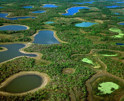 https://wild-eye.com/wp-content/uploads/2020/11/Wild-Eye-Best-of-the-Pantanala-TMP-Day-5.jpg