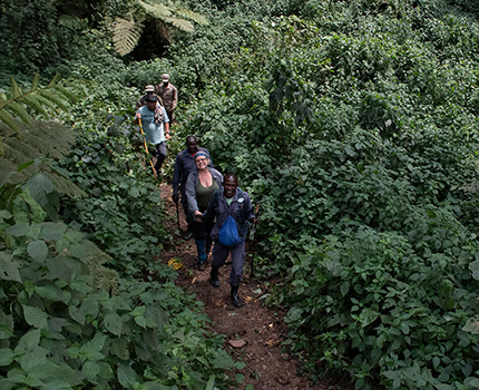 https://wild-eye.com/wp-content/uploads/2020/11/Wild-Eye-Itinerary-Uganda-Trekking-Day8-10.jpg