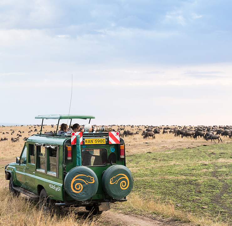 Great Migration Safari in Kenya Wild Eye