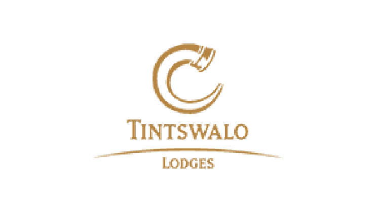 https://wild-eye.com/wp-content/uploads/2020/11/wild-eye-tintswalo-logo.png