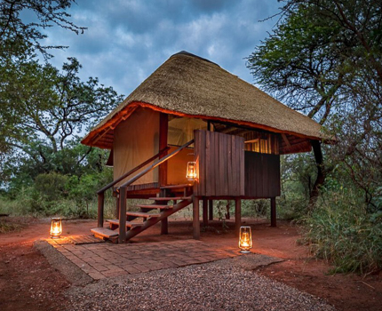 https://wild-eye.com/wp-content/uploads/2021/02/Authentic-Bushcamps-of-Madikwe-and-The-Greater-Kruger-National-Park-Mosetlha-1.jpg
