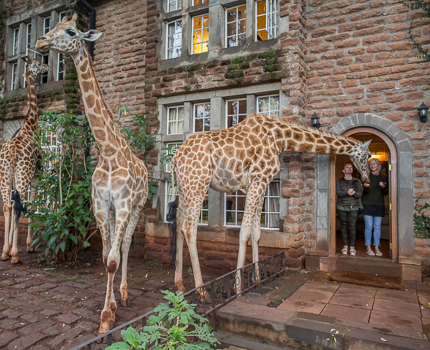 https://wild-eye.com/wp-content/uploads/2021/02/Wild-Eye-Icons-of-Kenya-Safari-Day-by-Day-4.jpg