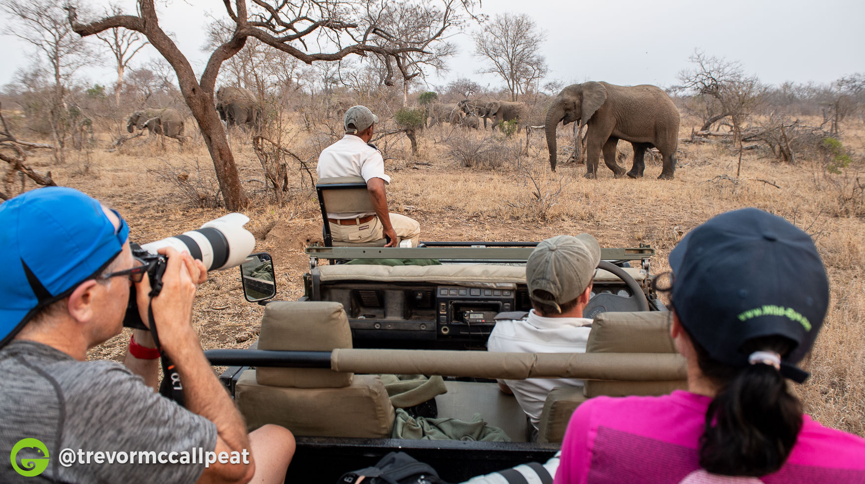 Why Choose a Photographic Safari