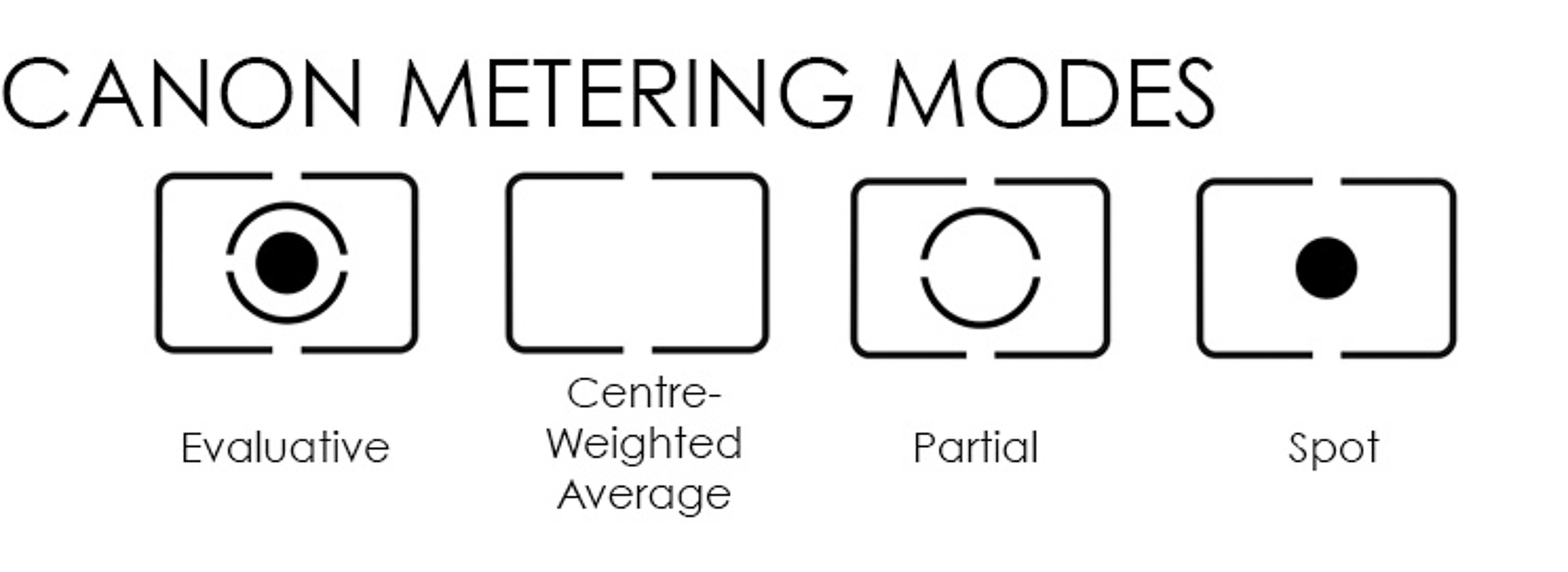 Using Metering Modes in Wildlife Photography
