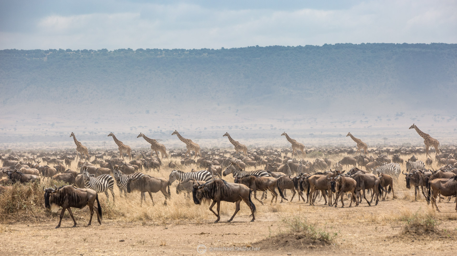 The Magic of the Mara - The Great Migration Explained - Michael Laubscher