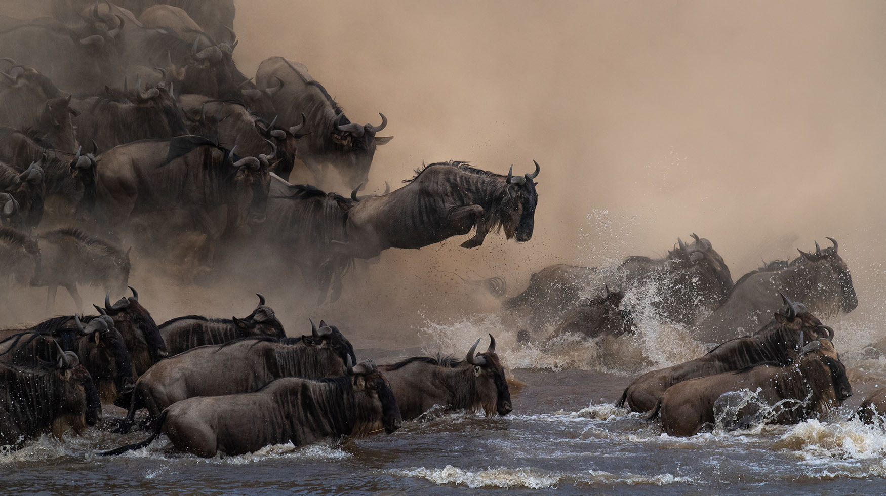 Great Migration Crossing Image Banner