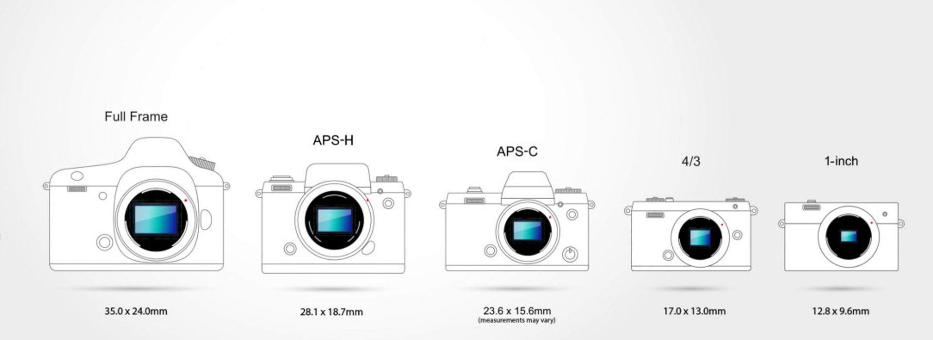 Camera Sensor Technology - Wild Eye