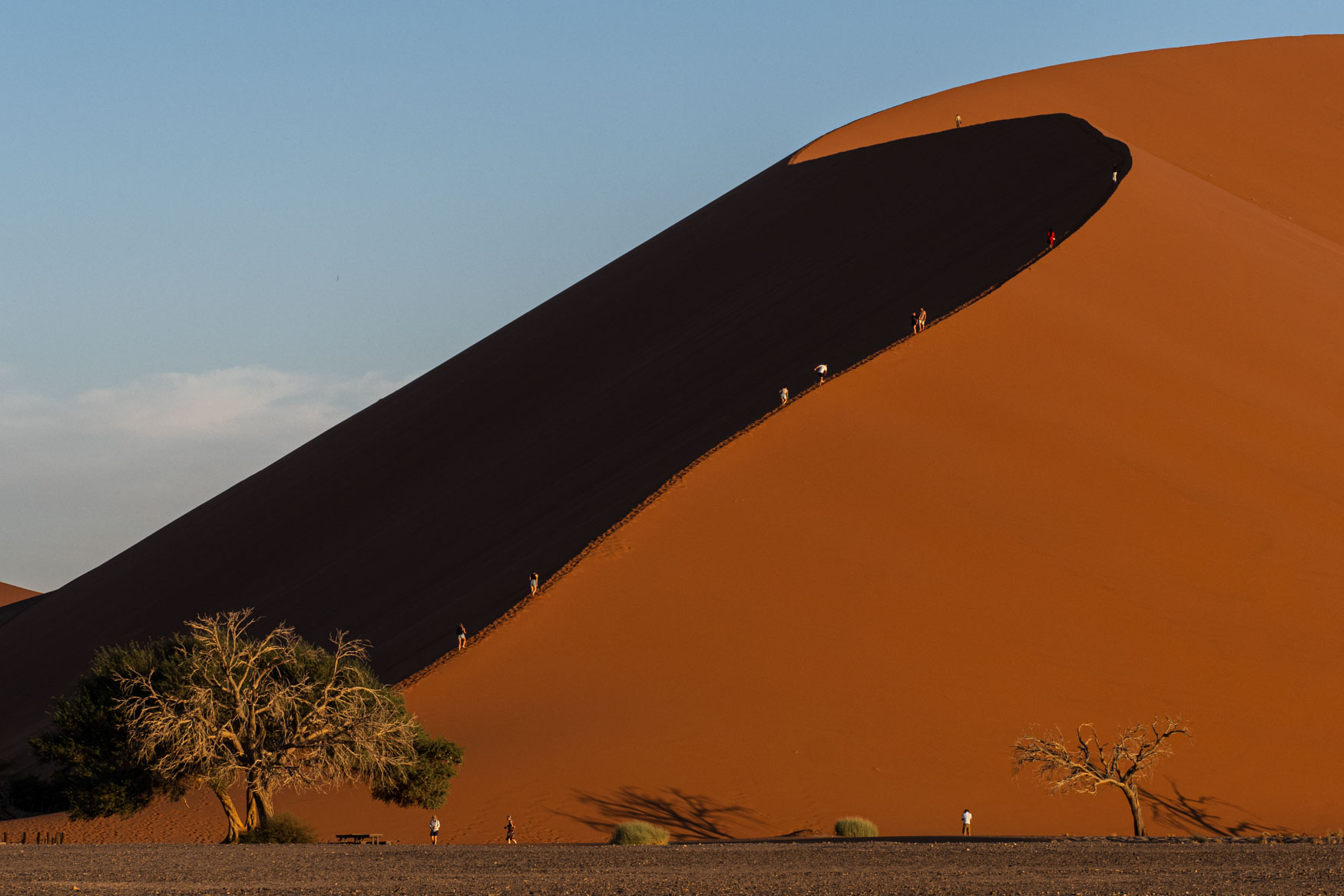 Namibia Safari - Trip Report 2024 - Michael Laubscher - Wild Eye