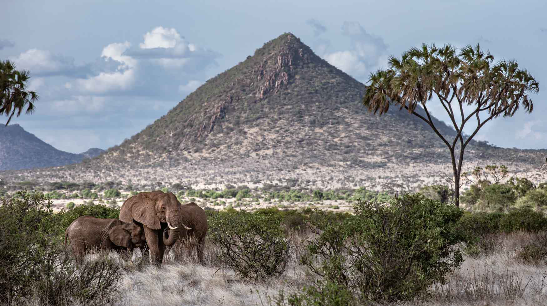 Favourite Photographs - Michael Laubscher - Wild Eye