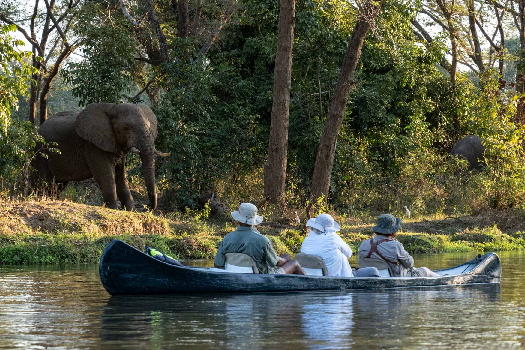 Lower Zambezi - Michael Laubscher - Wild Eye