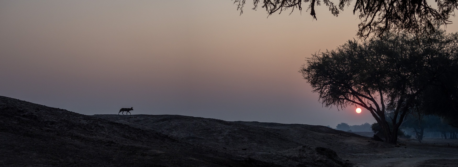 Lower Zambezi Trip report - July 2024 - Michael Laubscher - Wild Eye