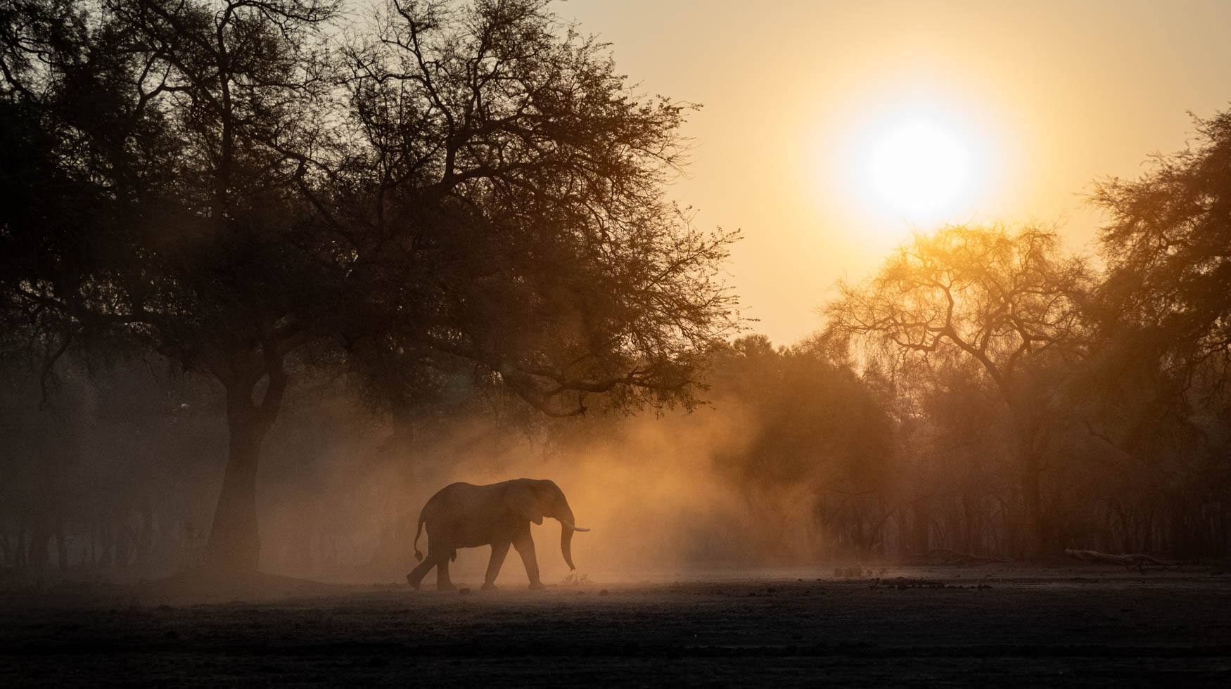 Lower Zambezi Trip report - July 2024 - Michael Laubscher - Wild Eye