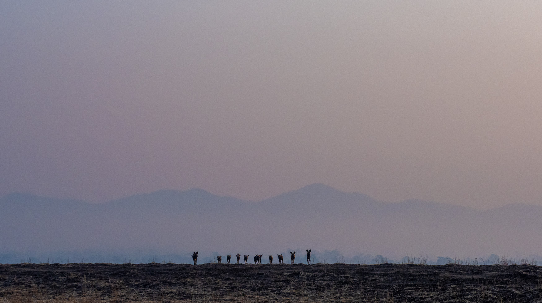 Lower Zambezi Trip report - July 2024 - Michael Laubscher - Wild Eye