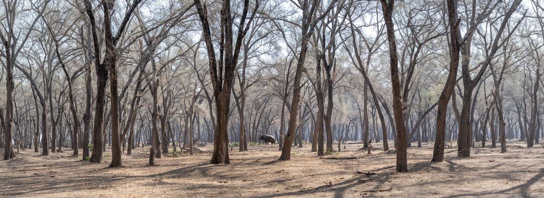 Lower Zambezi Trip report - July 2024 - Michael Laubscher - Wild Eye