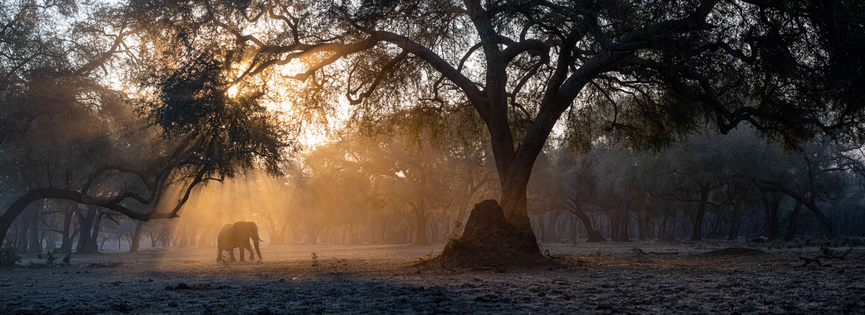 Lower Zambezi Trip report - July 2024 - Michael Laubscher - Wild Eye