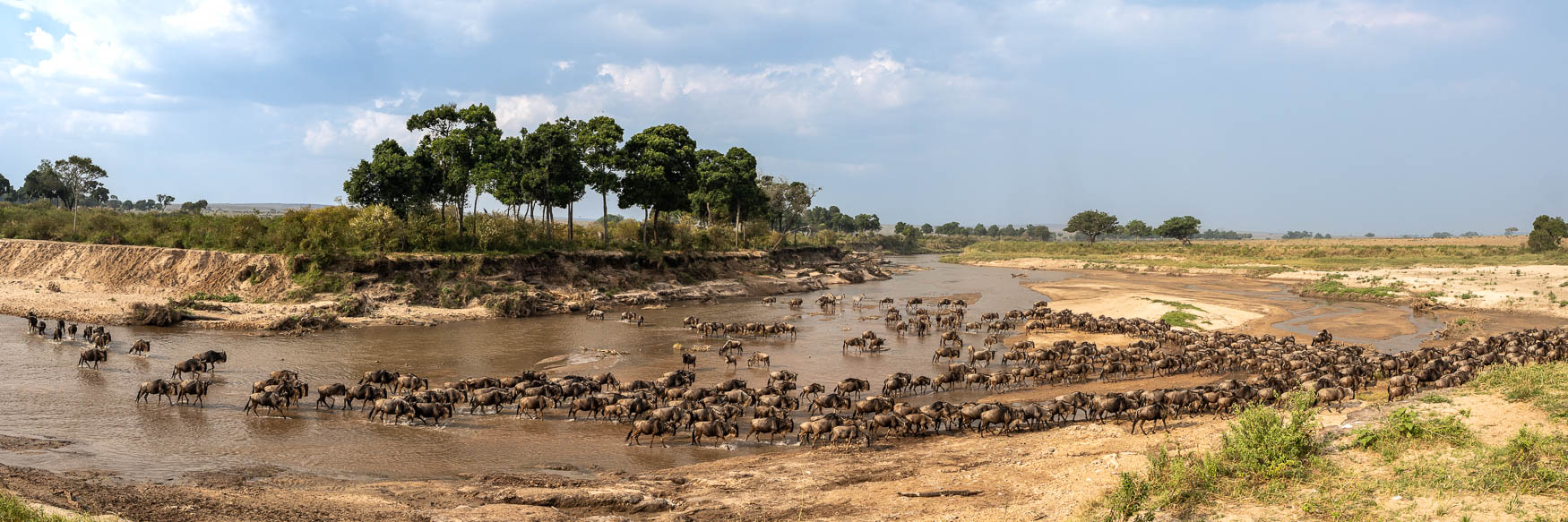 Northern Serengeti Migration Safari