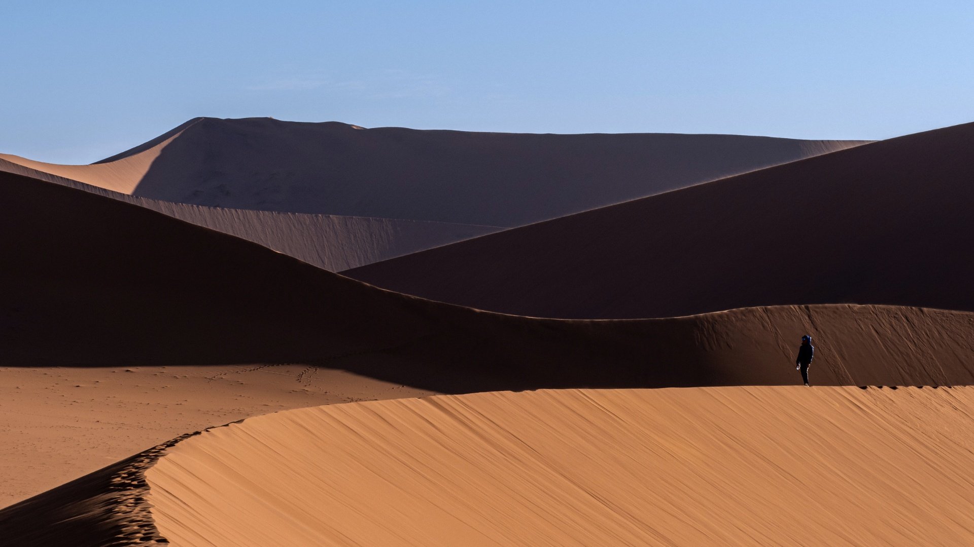 the rolling dunes of the namib desert with a wild eye guest enjoying the landscape