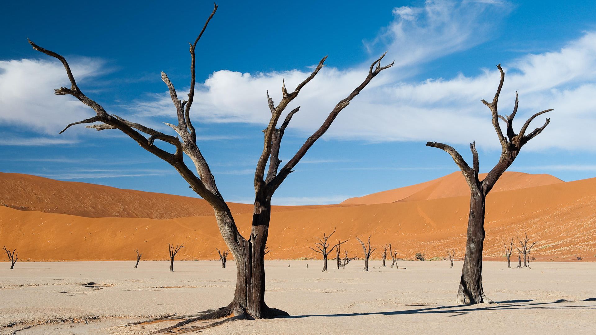 a landscape image taken by a private guide while hosting a wild eye photo safari in namibia