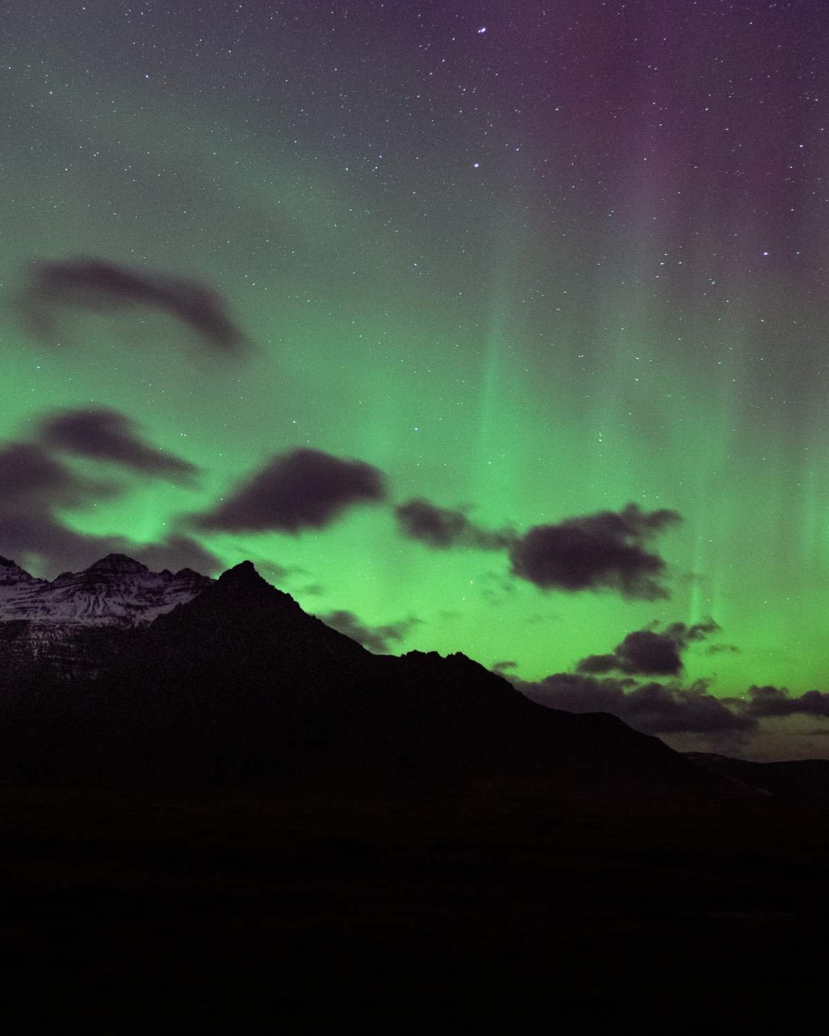 The northern ligjhts in iceland from a Wild Eye photo tour