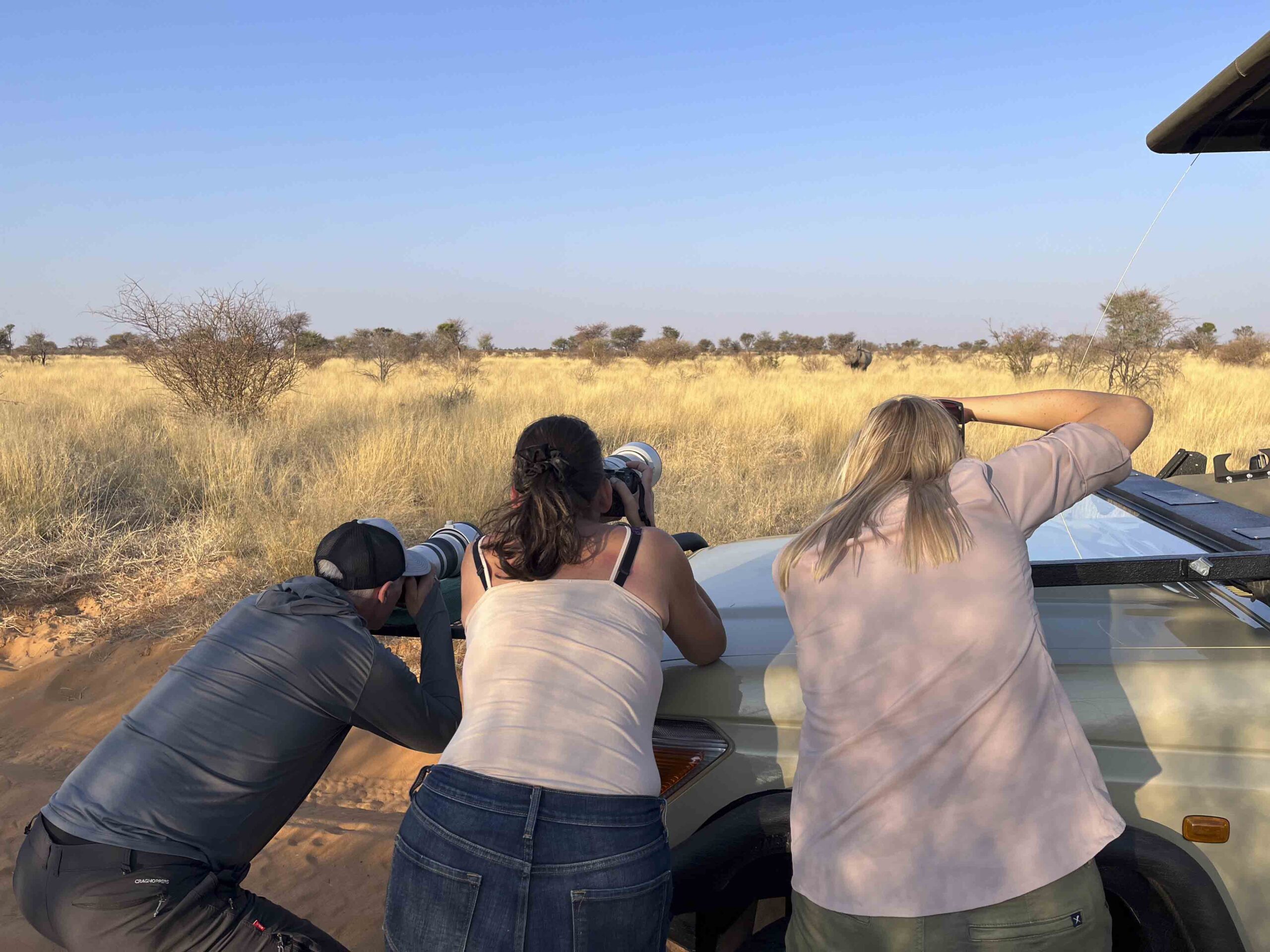 an image of wild eye guests taking a photo of cheetah on a wild eye photo safari hosted by a private guide