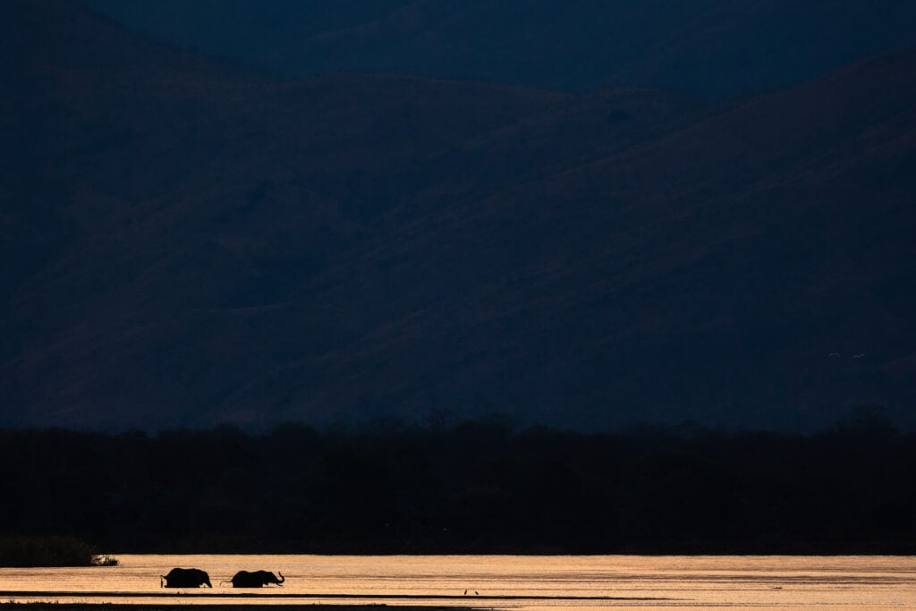 a landscape with elephants taken by a private guide while hosting a wild eye photo safari in zimbabwe