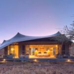 A guest tent at Namiri Plains