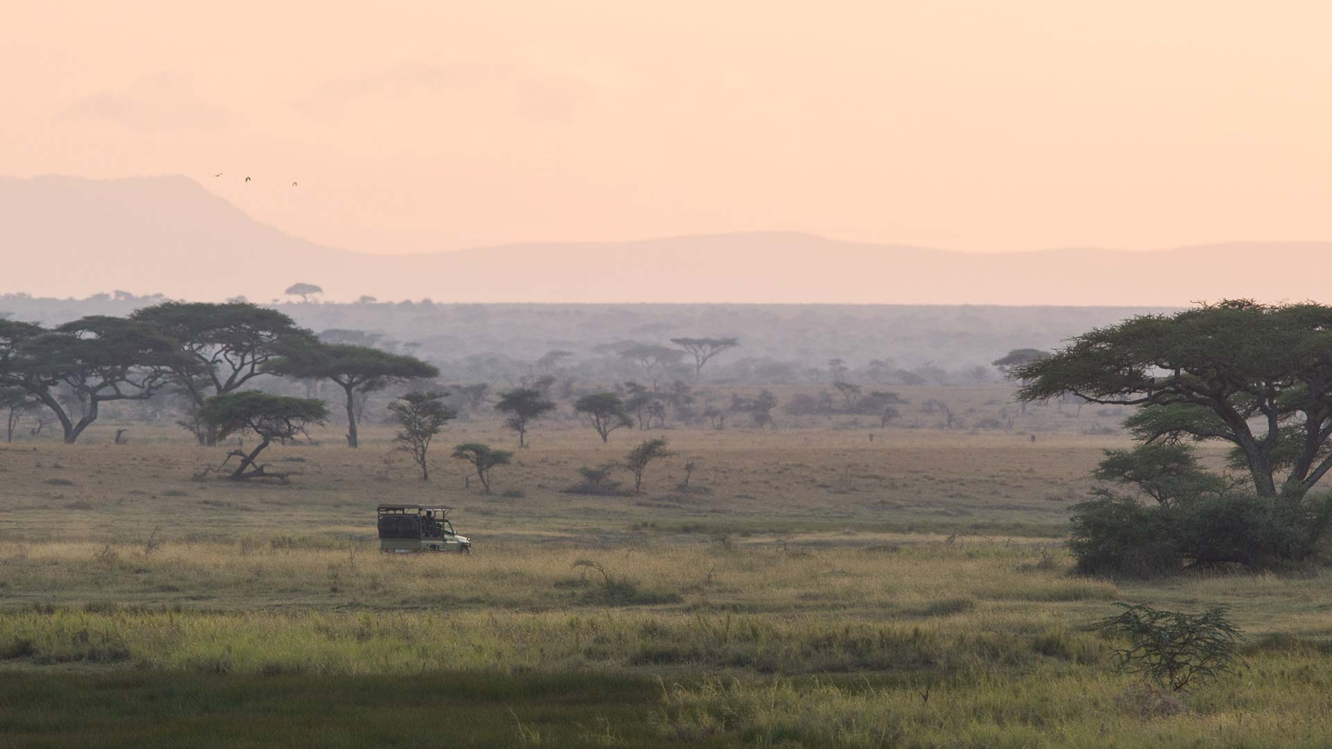 A photograph of a photo safari vehicle exploring the plains at Namiri Plains