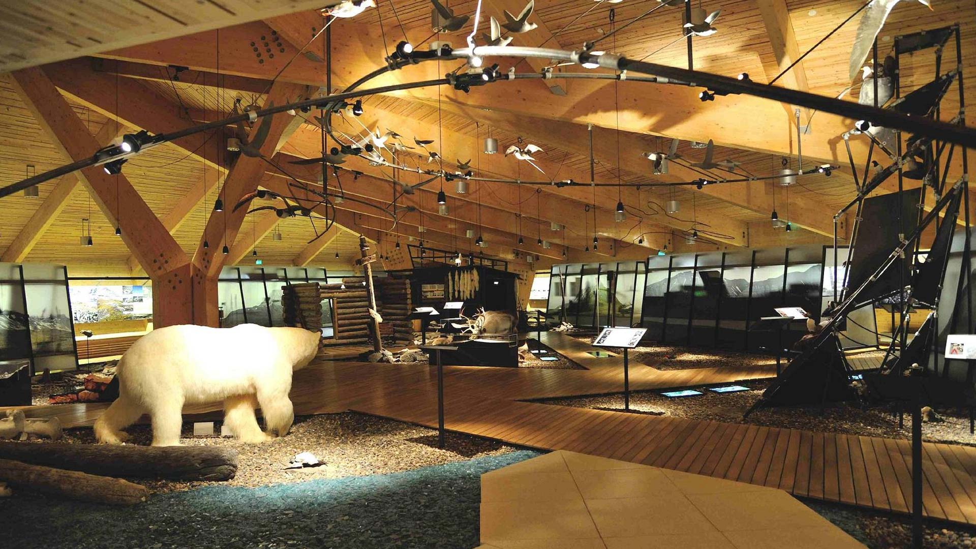 A visit to the Svalbard Museum showcasing the rich history of Svalbard