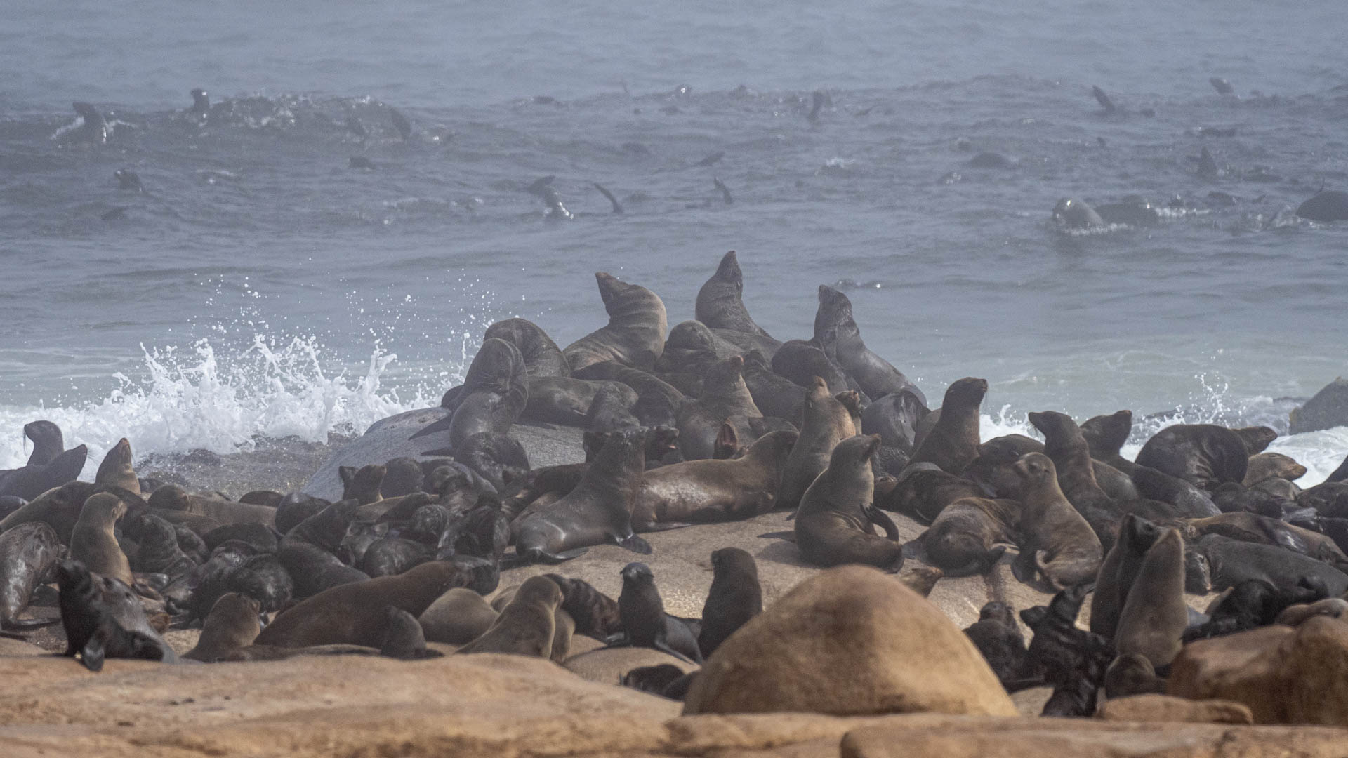 namibia landscape desert Skeleton coast seals discover places we love