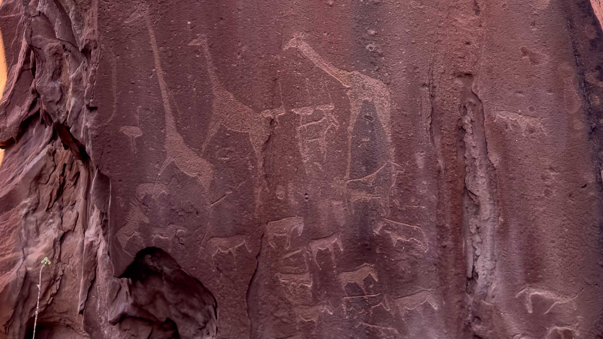 namibia damaraland rock art rock engraving bushman art