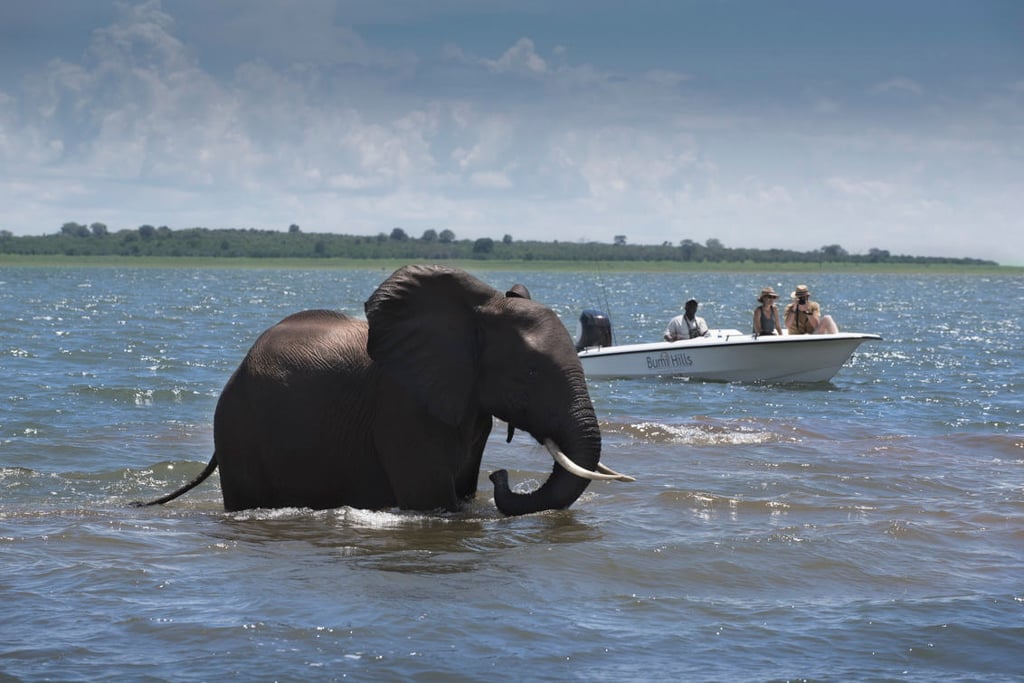 Lake Kariba - Discover Zimbabwe