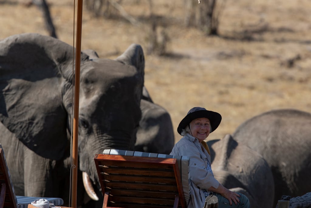 a guest sitting at the pool while elephants come to the camp in hwange, zimbabwe