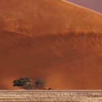The Namib desert in Namibia photgraphed on a safari to the region
