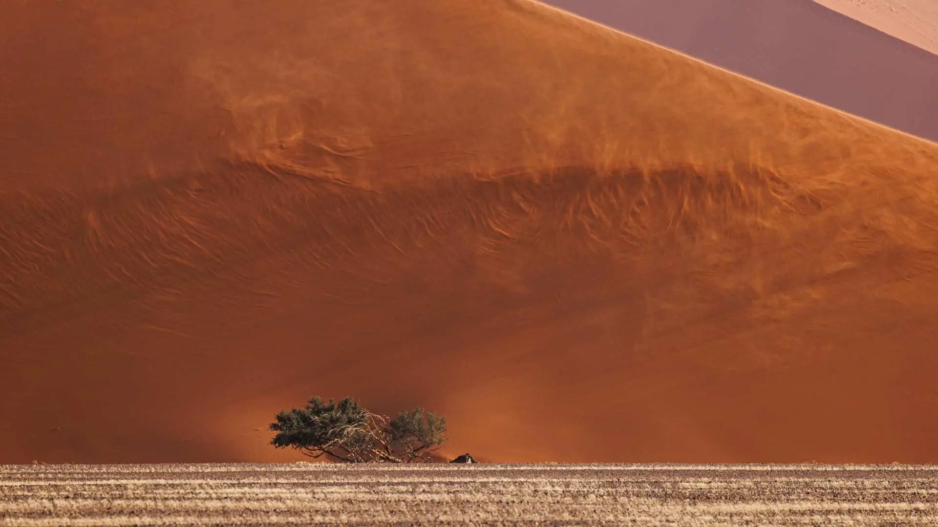 The Namib desert in Namibia photgraphed on a safari to the region