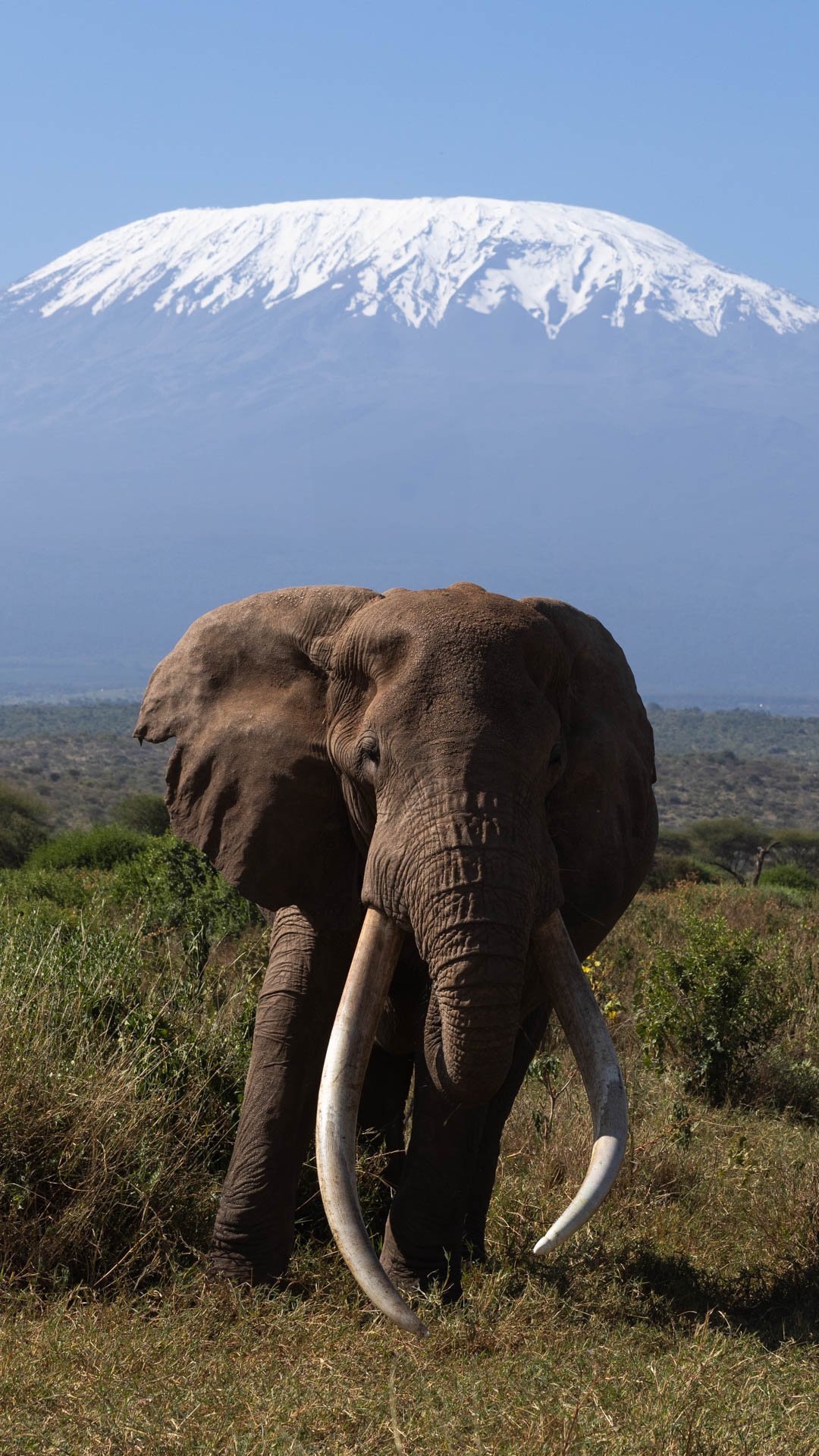 Craig with Kilimanjaro in the background