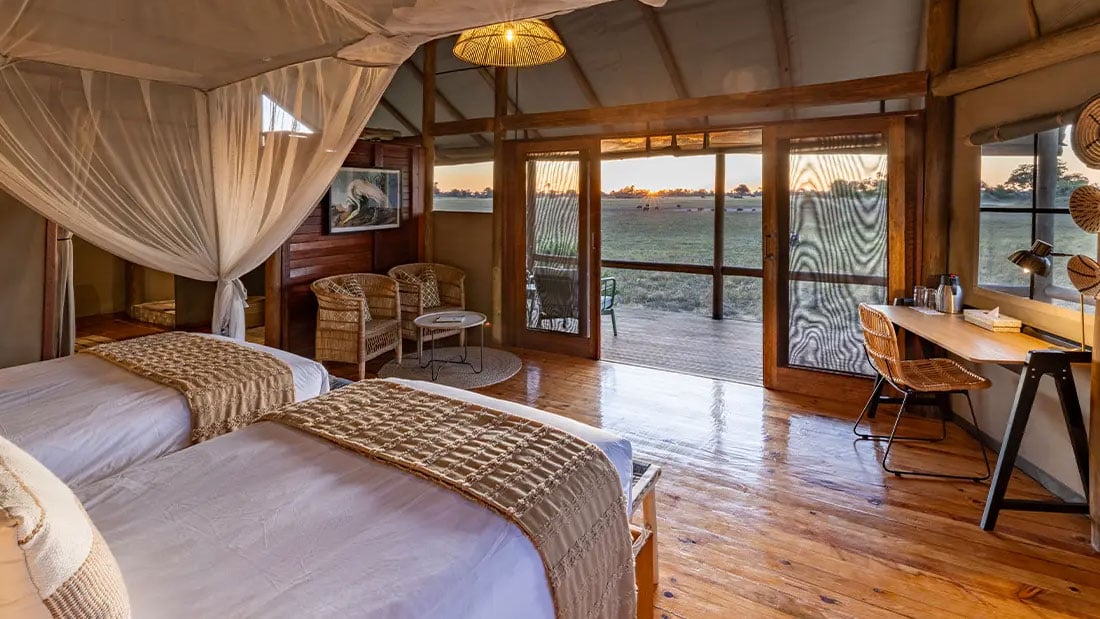 a guest room at mokolwane lodge in botswana