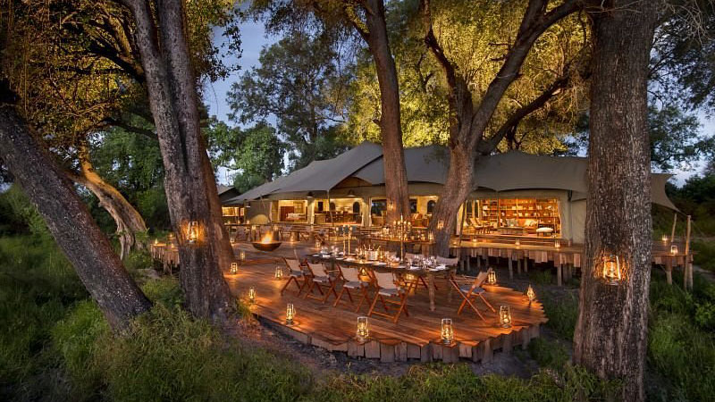 an image of the guest area at duba plains in botswana