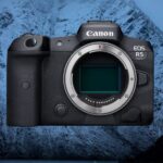 Canon R5 camera review for wildlife photography