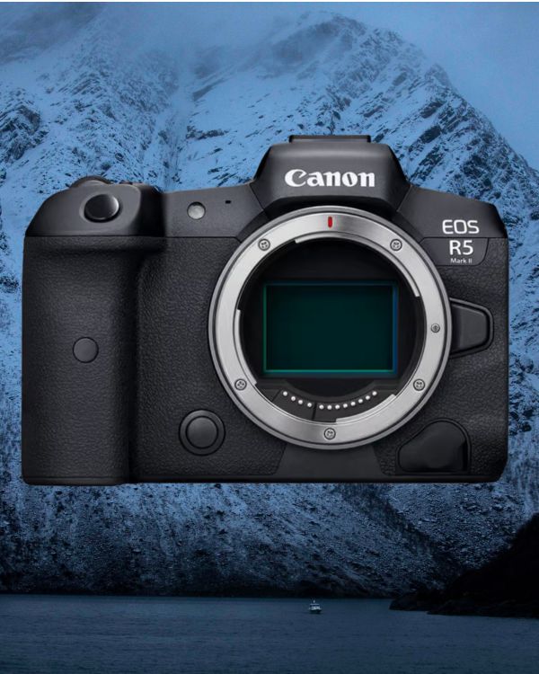 Canon R5 camera review for wildlife photography