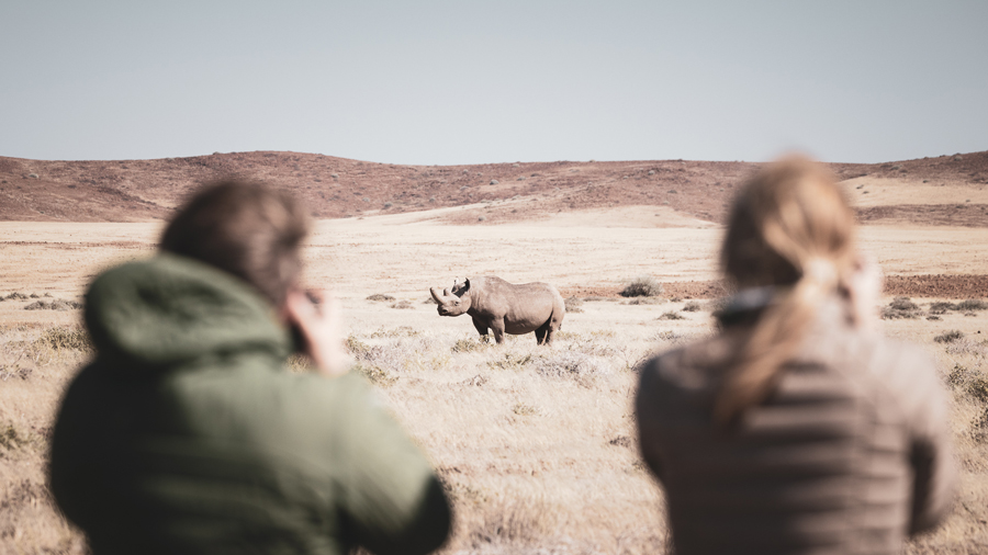 Black Rhino in Namibia while hosted by Wild Eye