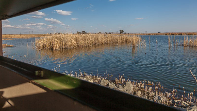 Marievale bird sanctuary